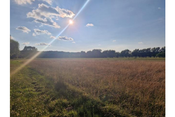 wołomiński, Poświętne, Choiny, Działka 8900 m2 W studium zabudowa mieszkaniowa