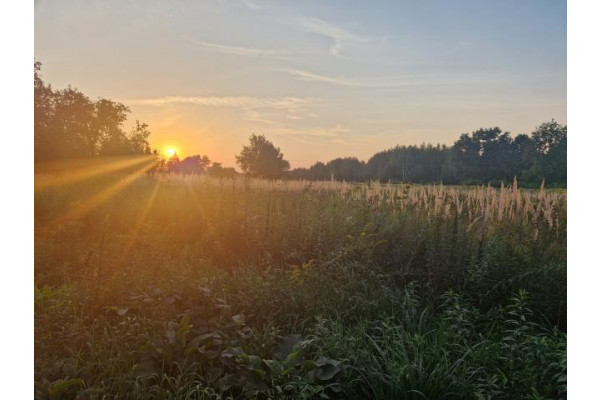 wołomiński, Wołomin, Zagościniec, Tramwajowa, Działka na sprzedaż